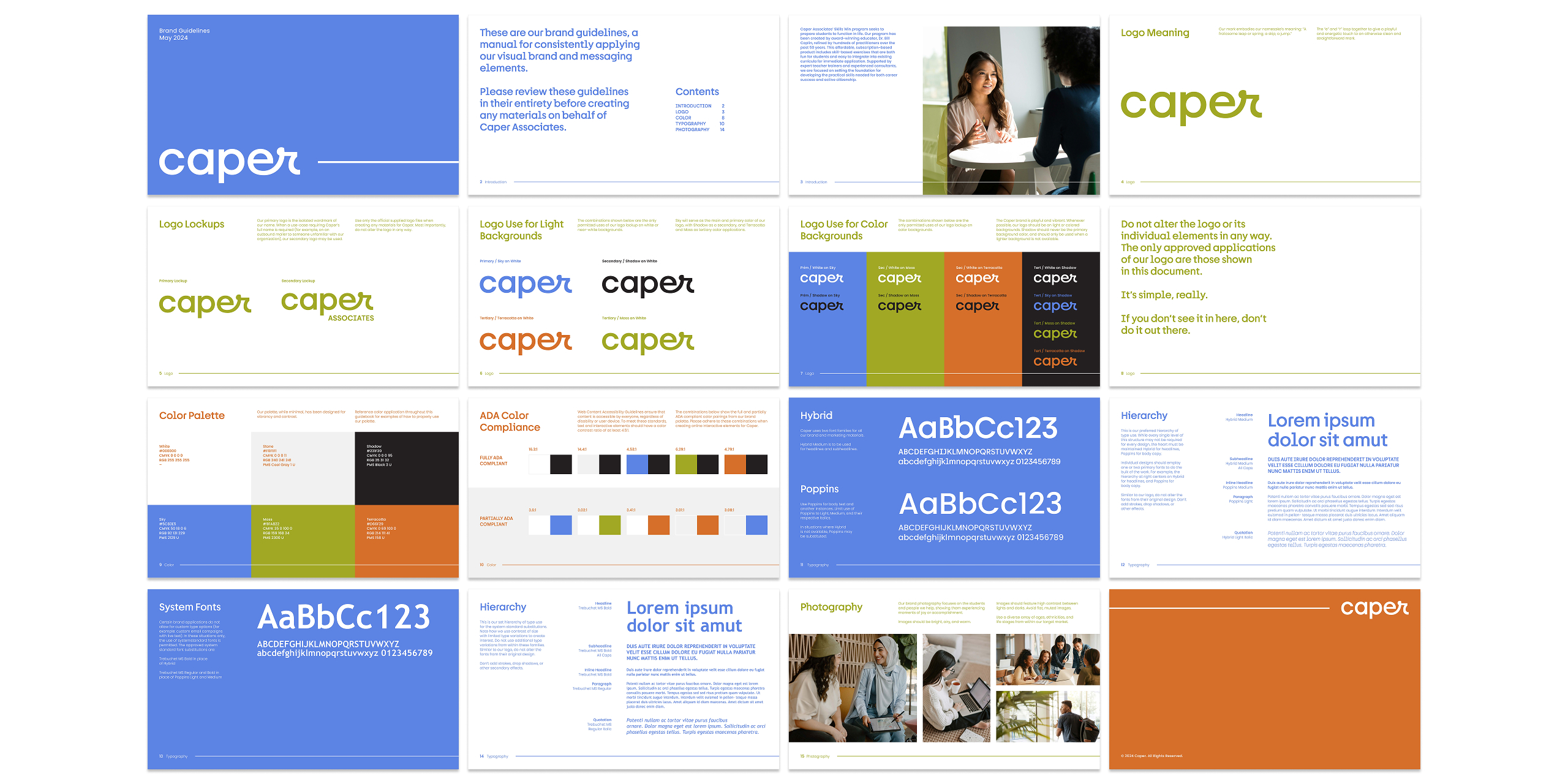 Caper brand guidelines — custom brand identity design and color palette in Sky, Moss, and Terracotta