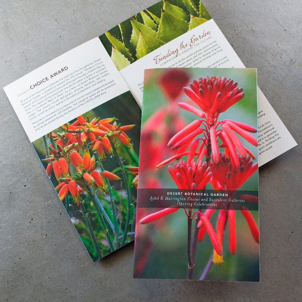 Print Design – Brochure Design