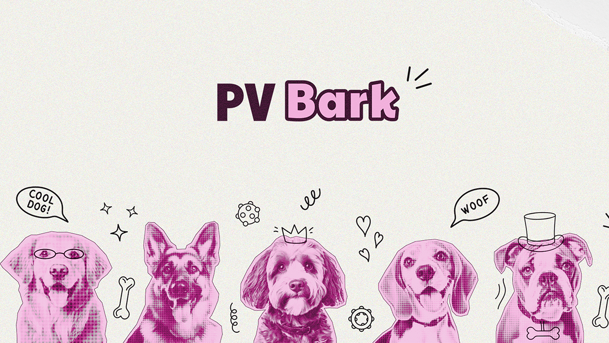 Prescott-Valley-brand-identity-case-study
